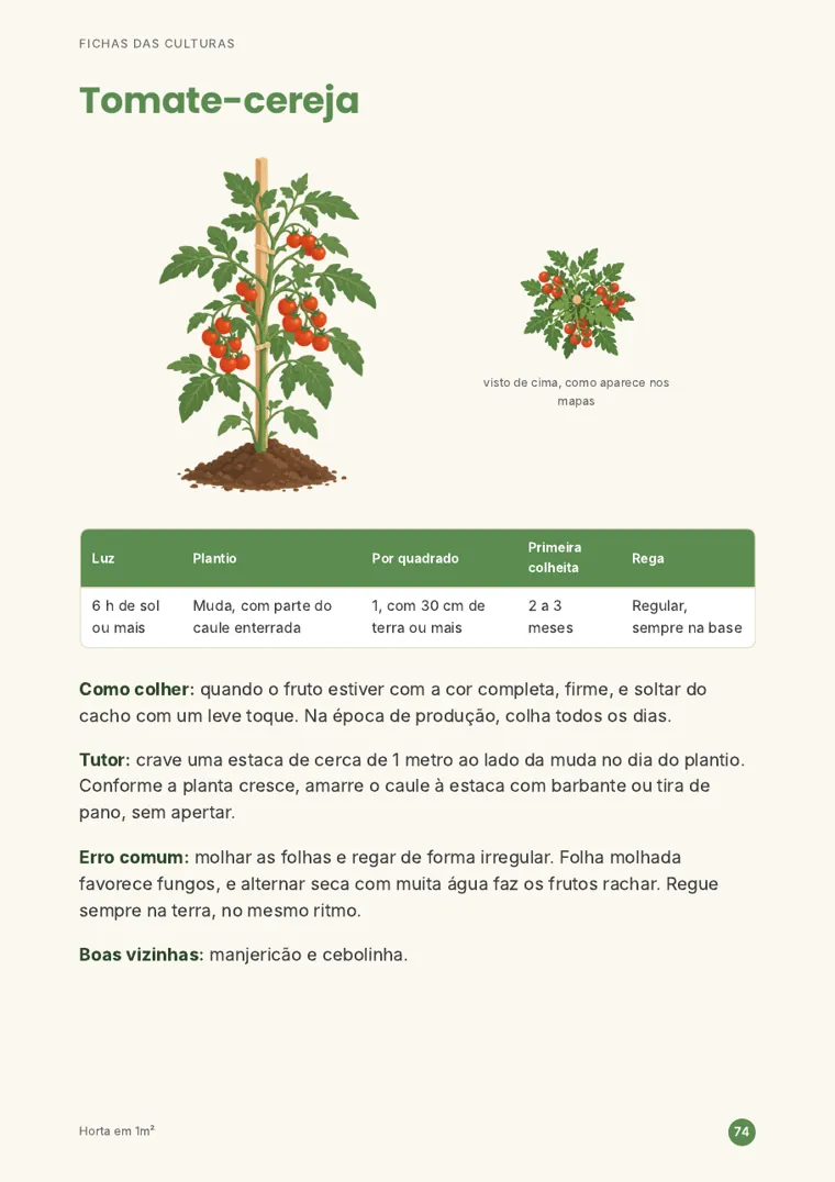 Página: ficha do tomate-cereja